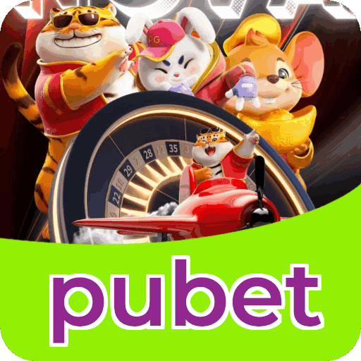 Resumo do fluxo de instalação do app pubet — ilustração editorial